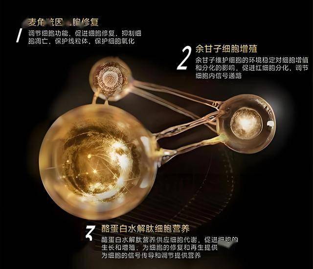 中国结算：统一账户平台、资料数据核查平台于2023年7月1日全天暂停对外服务