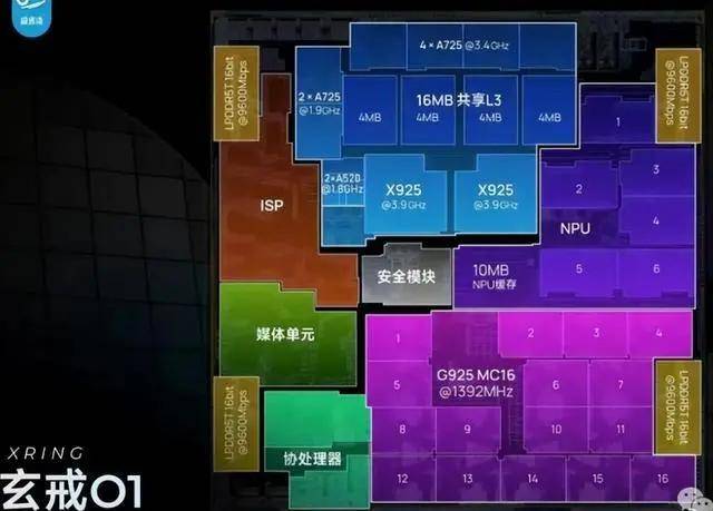 第二十六届中国（寿光）国际蔬菜技术博览会开幕